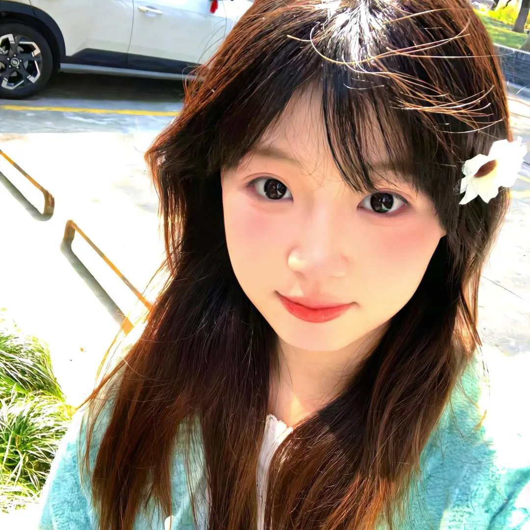 戆子记