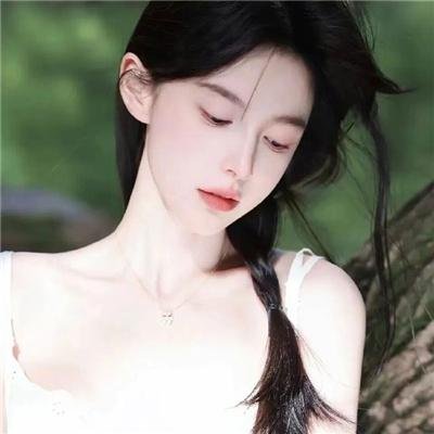 大清盐商